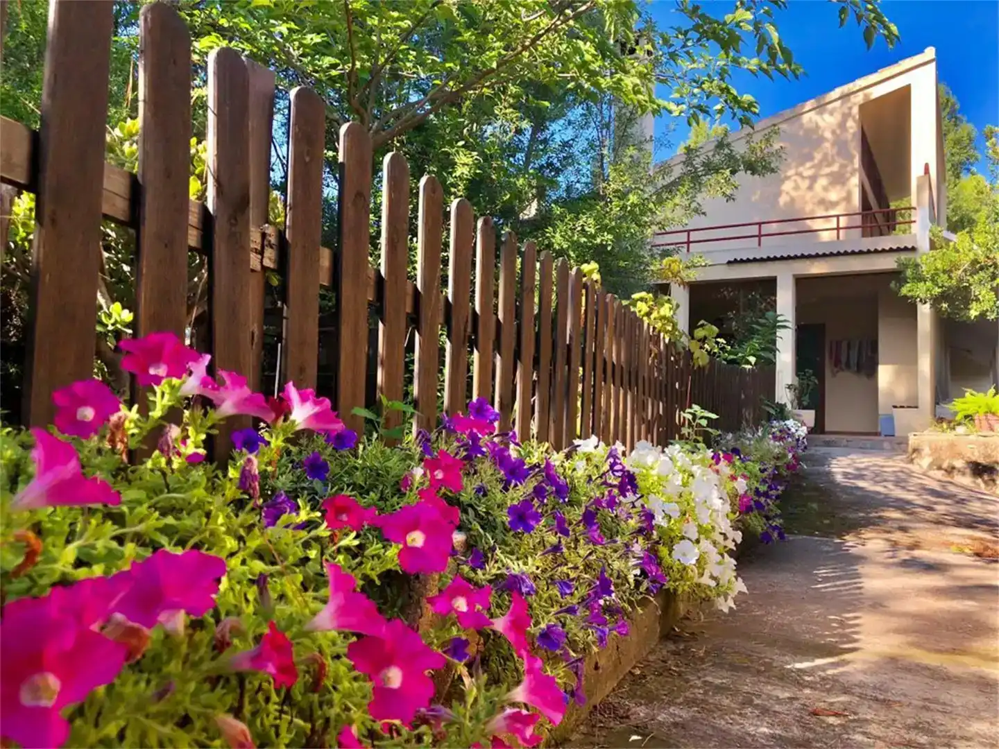 Jardí de Casa o xalet en venda en L'Alcora amb Piscina i Balcó