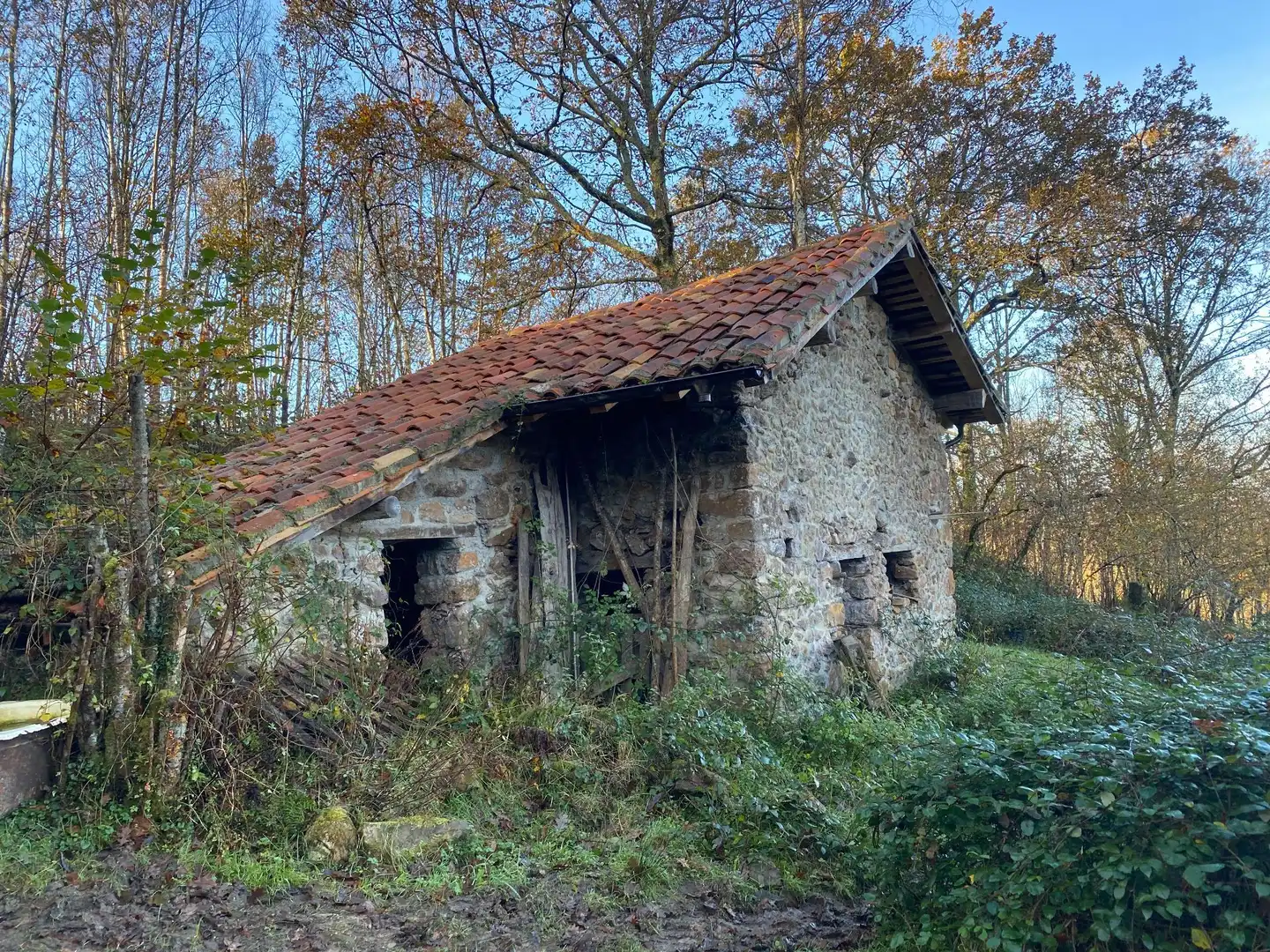 Terreno rustico in vendita a Cangas de Onís, imagen 2