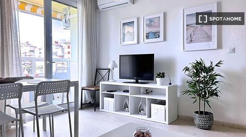 Photo 5 of Apartment for share in Laguna Beach, Torrox