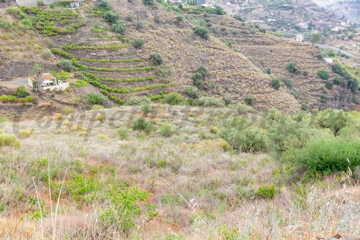Rustikales Grundstück zum Verkauf in Torrox Pueblo, imagen 5