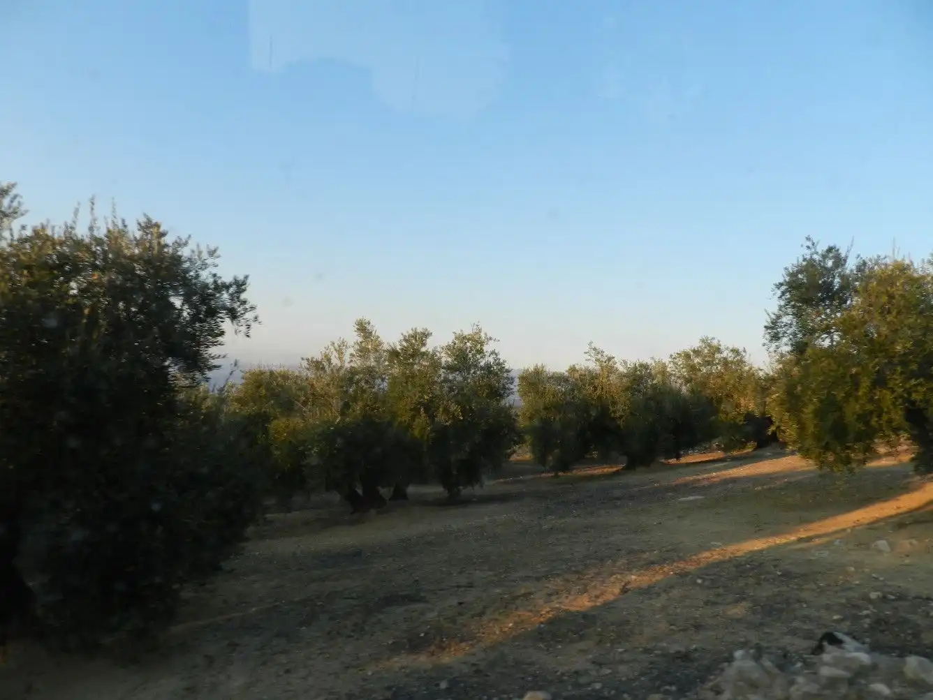 Terreni e lotti in vendita a Villanueva de la Reina, imagen 7