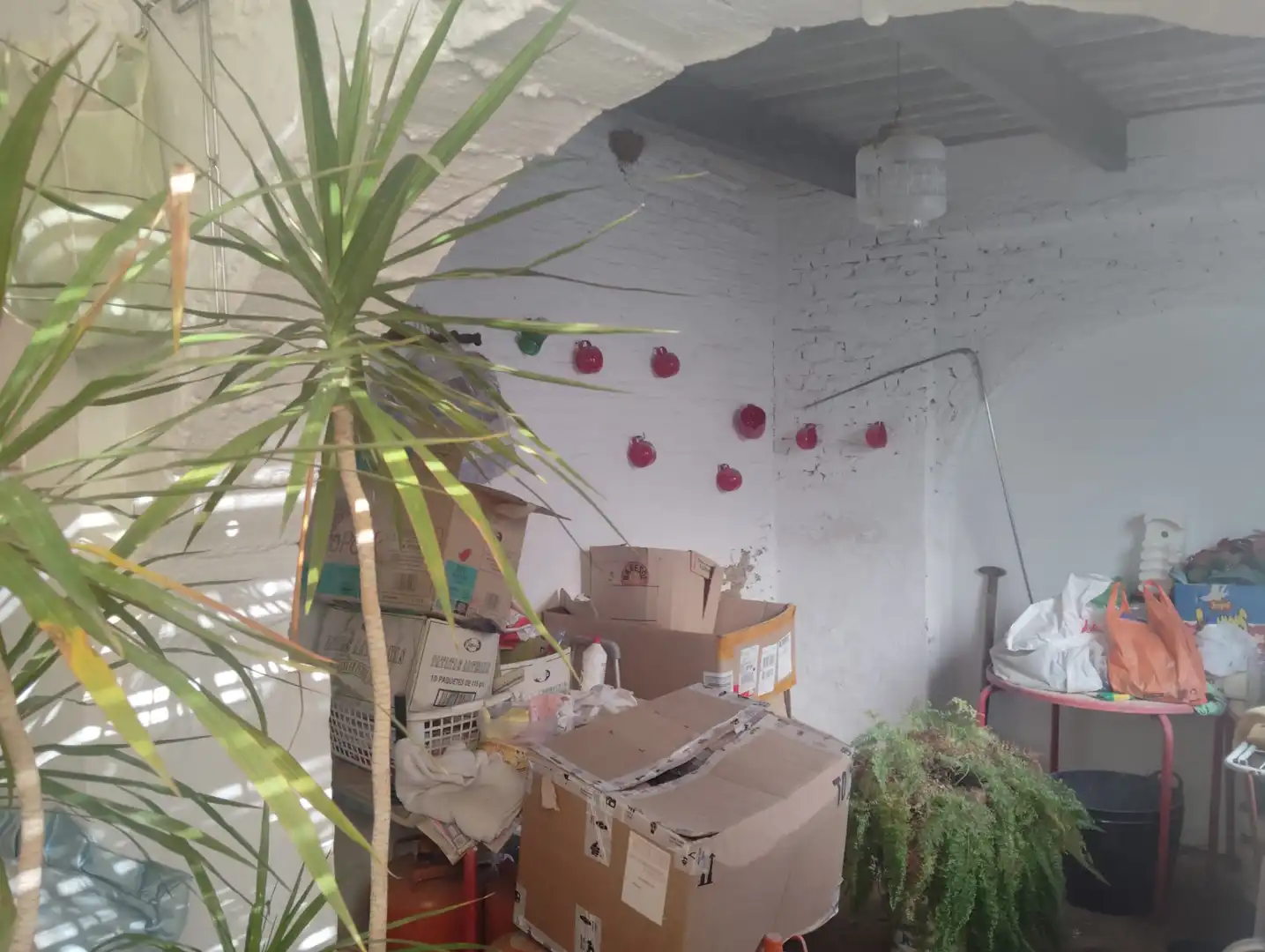 Casa con giardino in vendita a Brenes, imagen 19