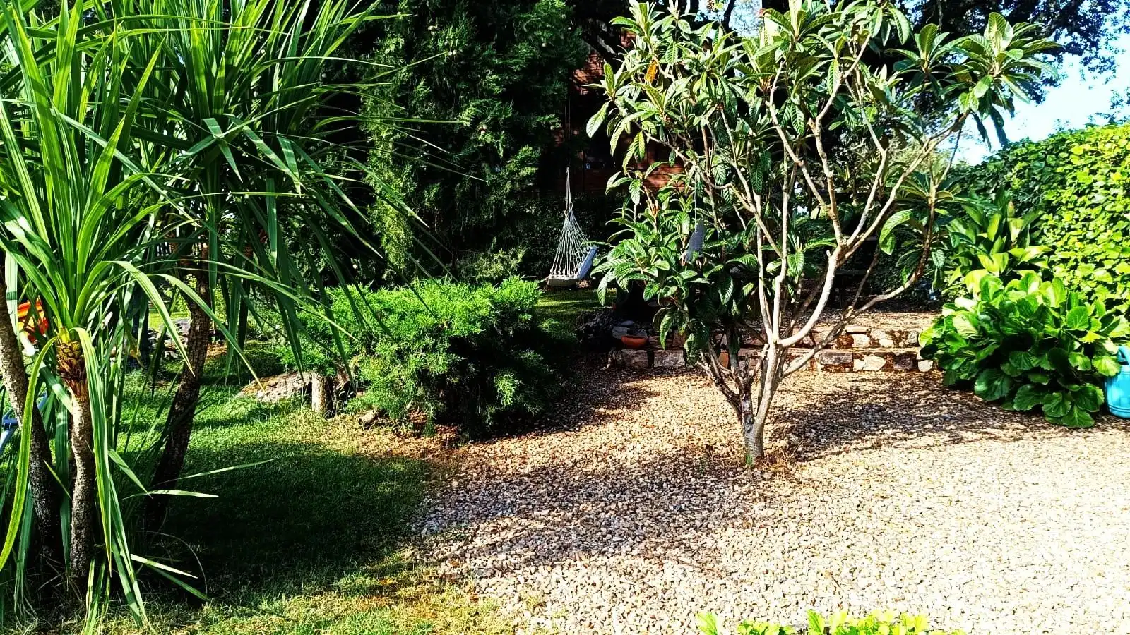 Jardí de Casa o xalet en venda en Palacios del Pan amb Calefacció, Jardí privat i Terrassa