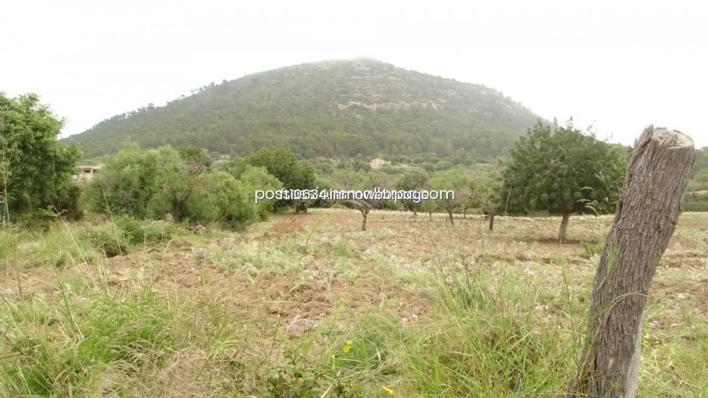 Terreno rustico in vendita a Llucmajor pueblo, imagen 10