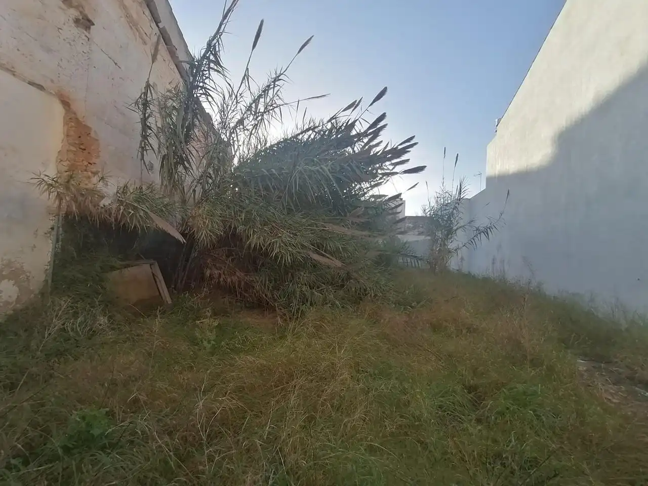 Terreny residencial en venda a Carrer de sa Gerreria, imagen 9