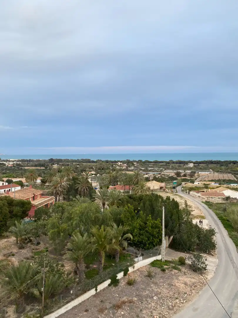 Vista exterior de Pis en venda en Elche / Elx amb Aire condicionat, Parquet i Traster