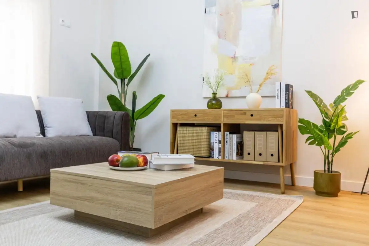 Sala d'estar de Apartament per a compartir en Madrid amb Calefacció, Moblat i Forn