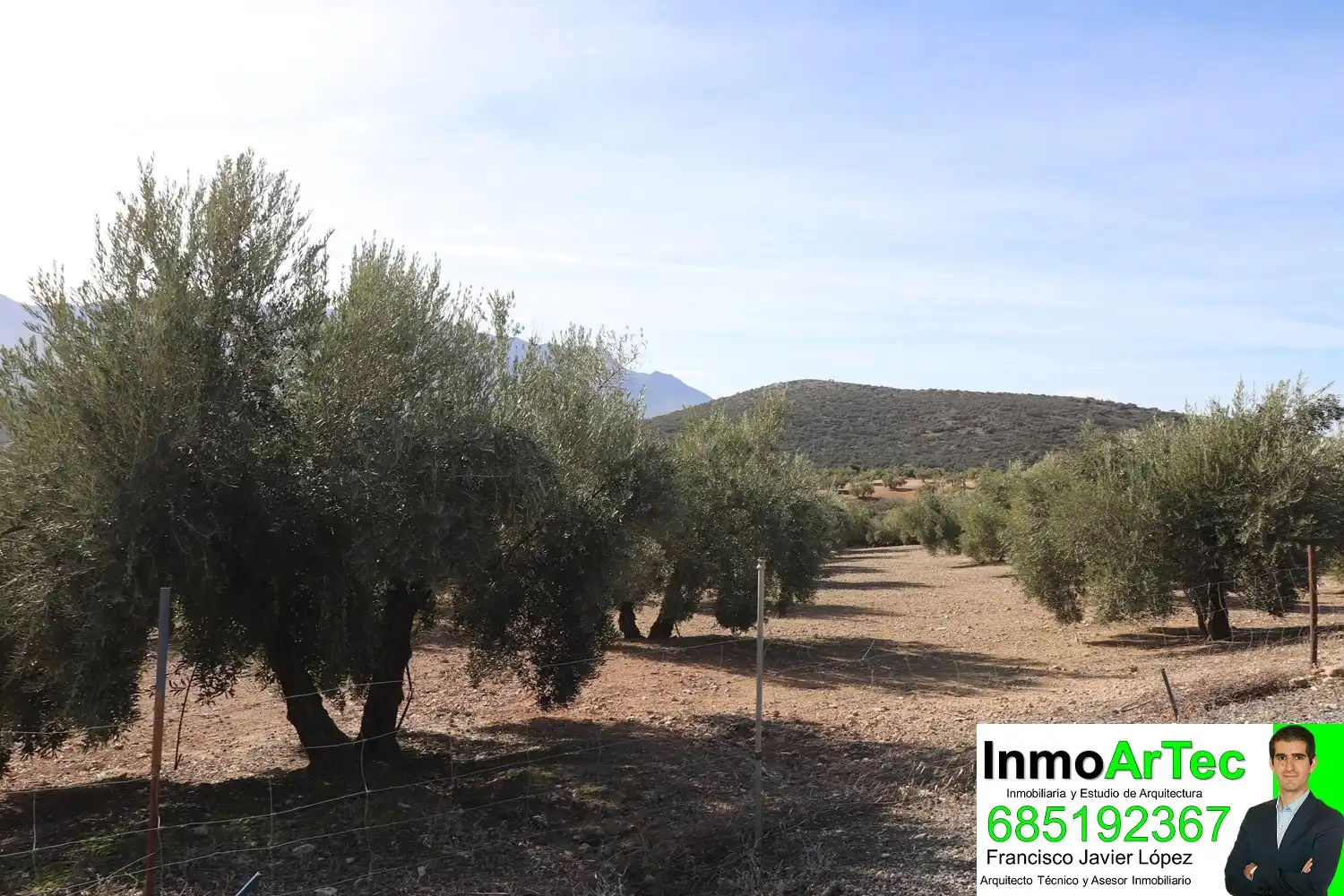 Finca rústica en venda en Iznalloz amb Jardí privat, Terrassa i Piscina