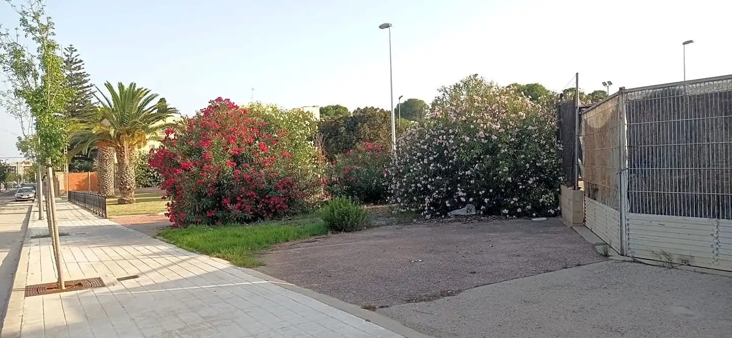 Habitació a Sevilla, Moncada