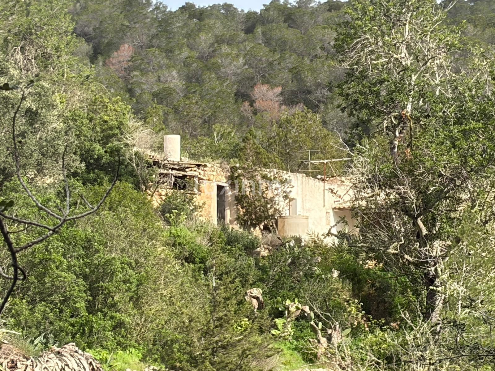 Exterior view of Houses for sale in Sant Josep de sa Talaia