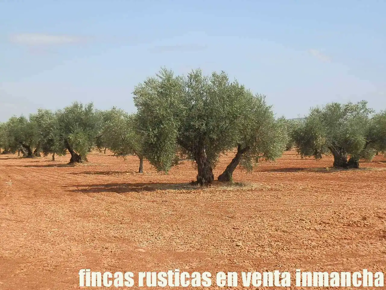 Terreno rústico en venta en Moral de Calatrava, imagen 20