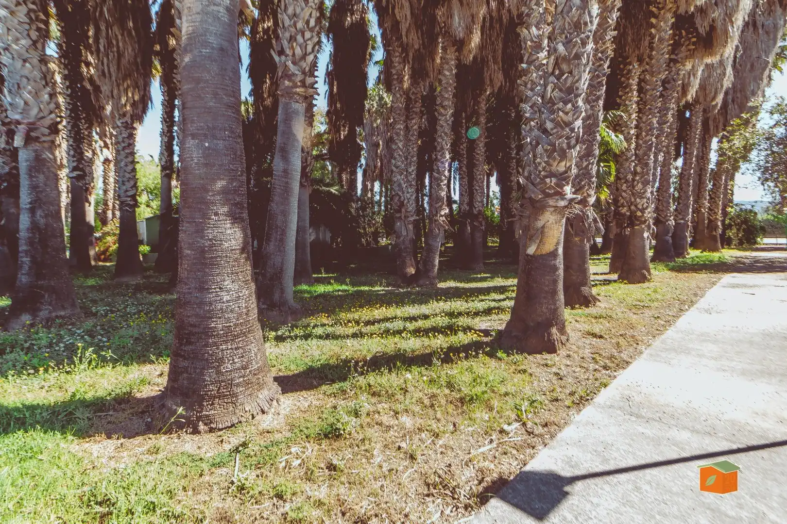 Vista exterior de Finca rústica en venda en Tortosa amb Aire condicionat i Jardí privat