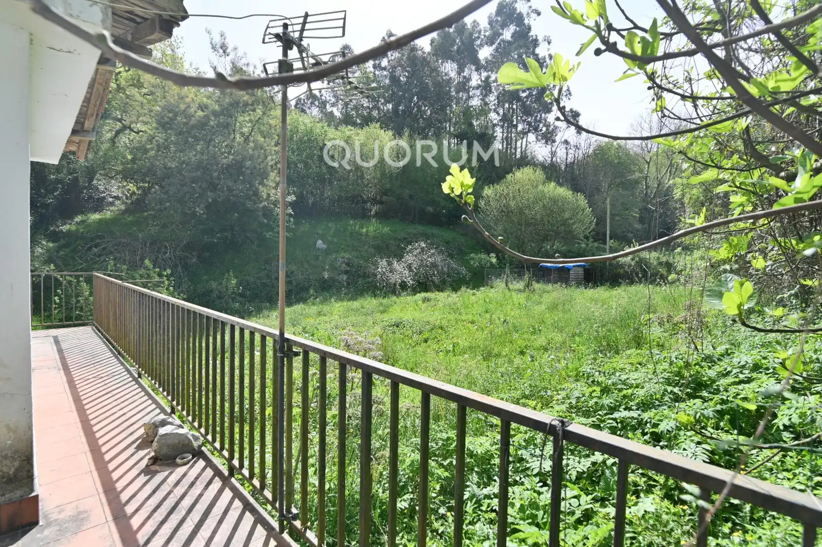 Garden of Houses for sale in Dima   with Heating, Private garden and Terrace