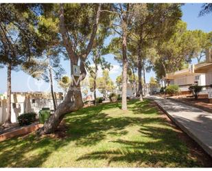 Jardí de Apartament en venda en Llucmajor amb Aire condicionat, Jardí privat i Terrassa