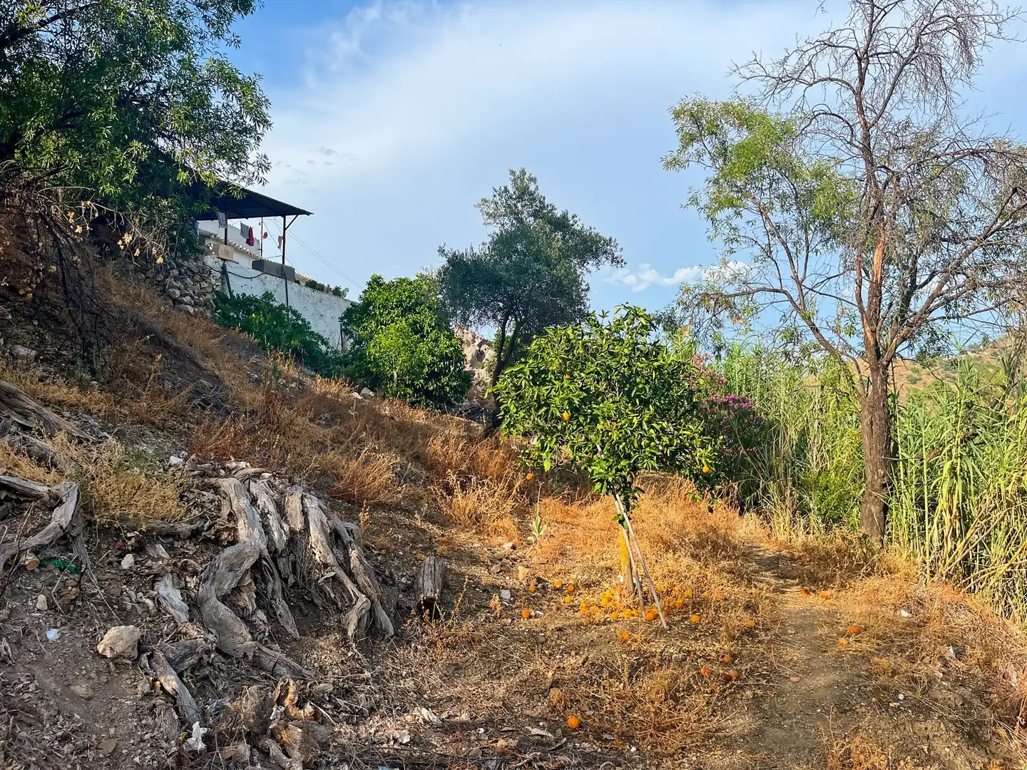 Country homes for sale in Comares