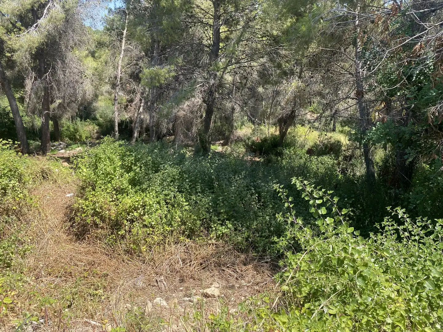 Residential land for sale in Urbanitzacions de Llevant, imagen 25
