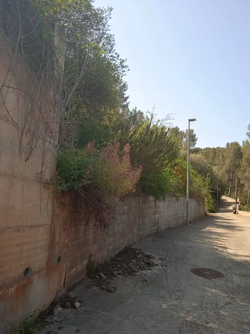 Terreny residencial en venda a Corbera de Llobregat, imagen 3