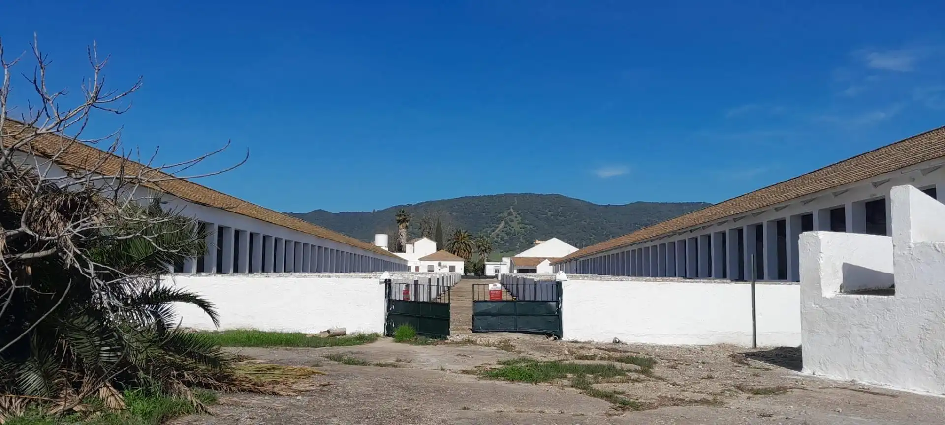 Vista exterior de Terreny industrial en venda en Córdoba