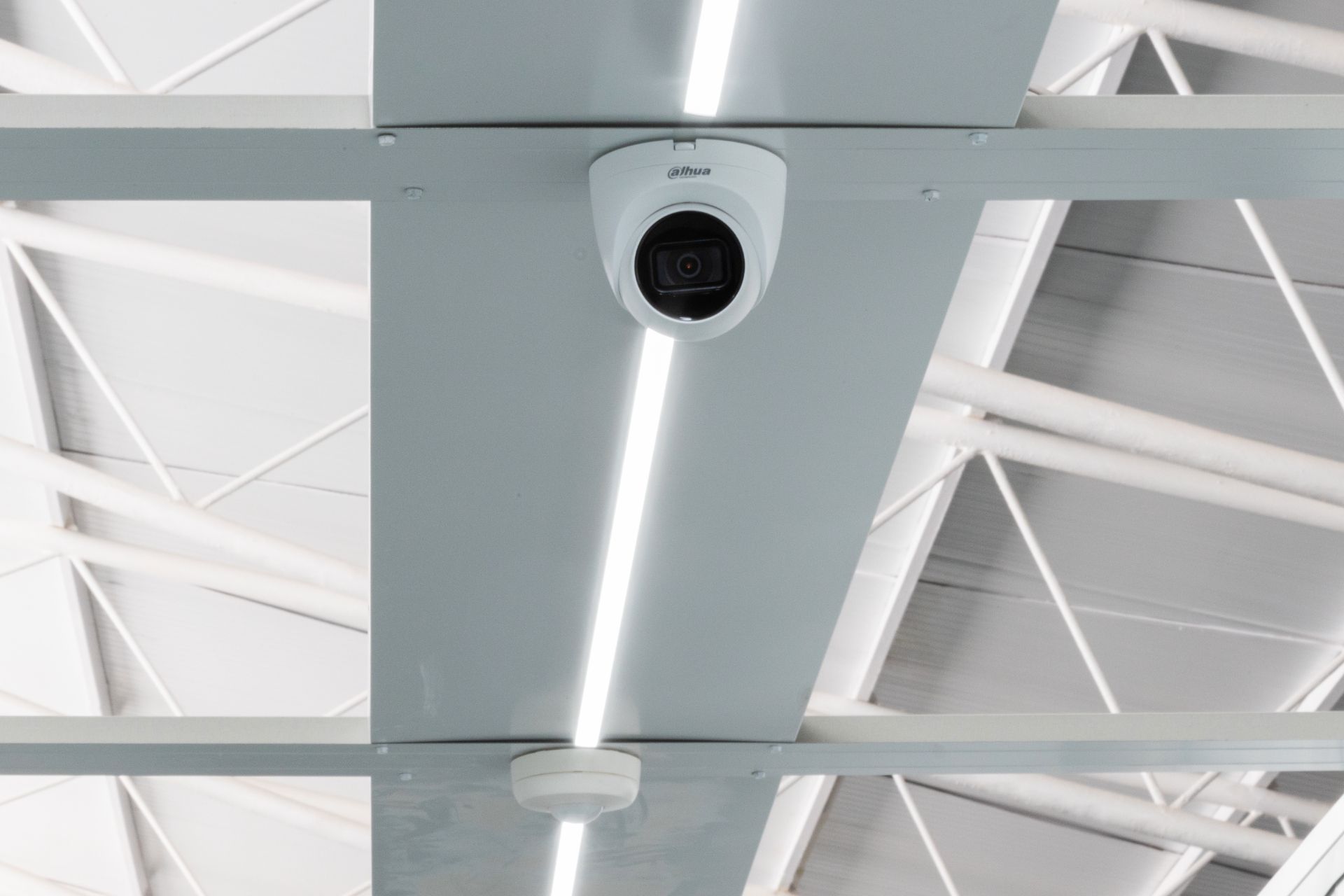 Traster de lloguer en Parla amb Alarma