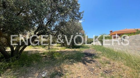 La mejor parcela de Les Masies Catalanes y L’Albiol, immagine 2