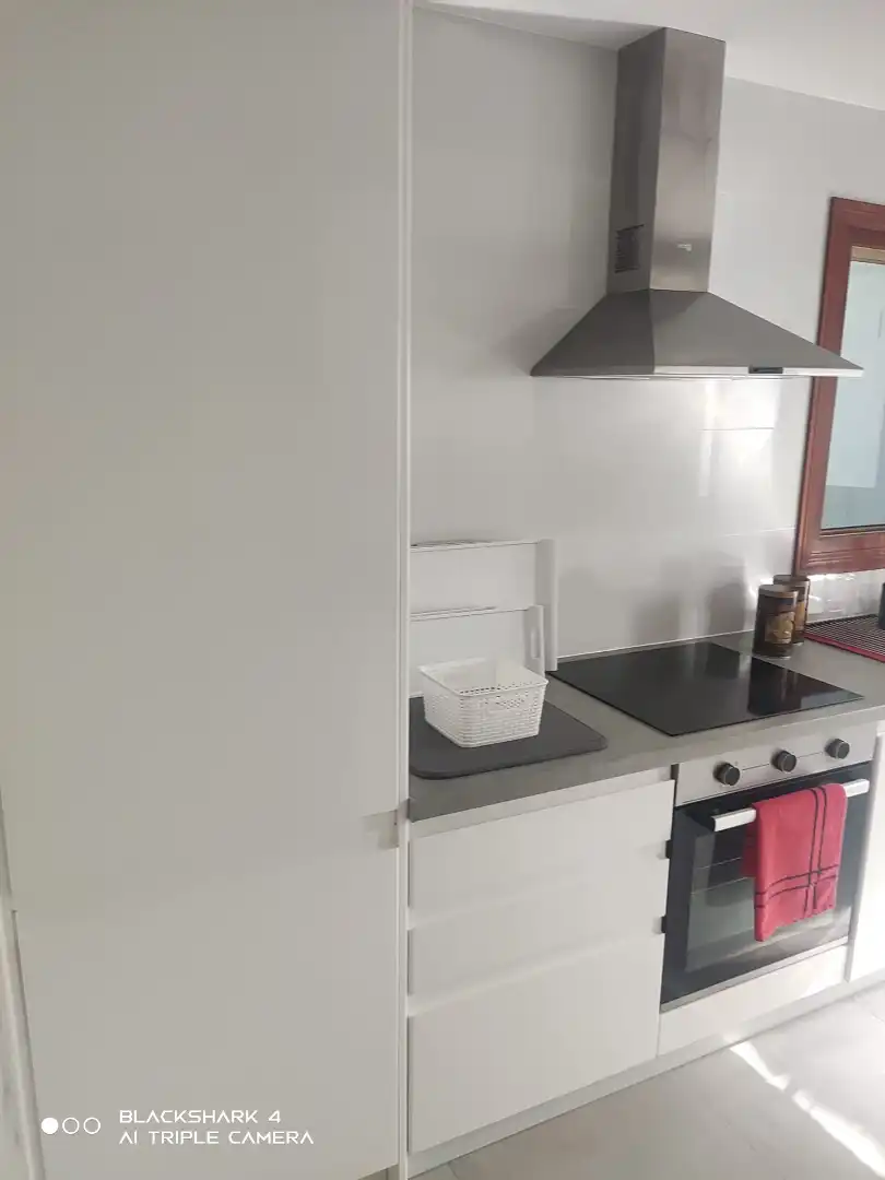 Cuina de Casa o xalet en venda en Alcalà de Xivert amb Aire condicionat, Jardí privat i Terrassa