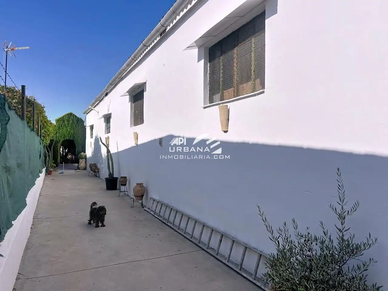 Casa amb piscina en venda a Diseminado Yesares, imagen 6