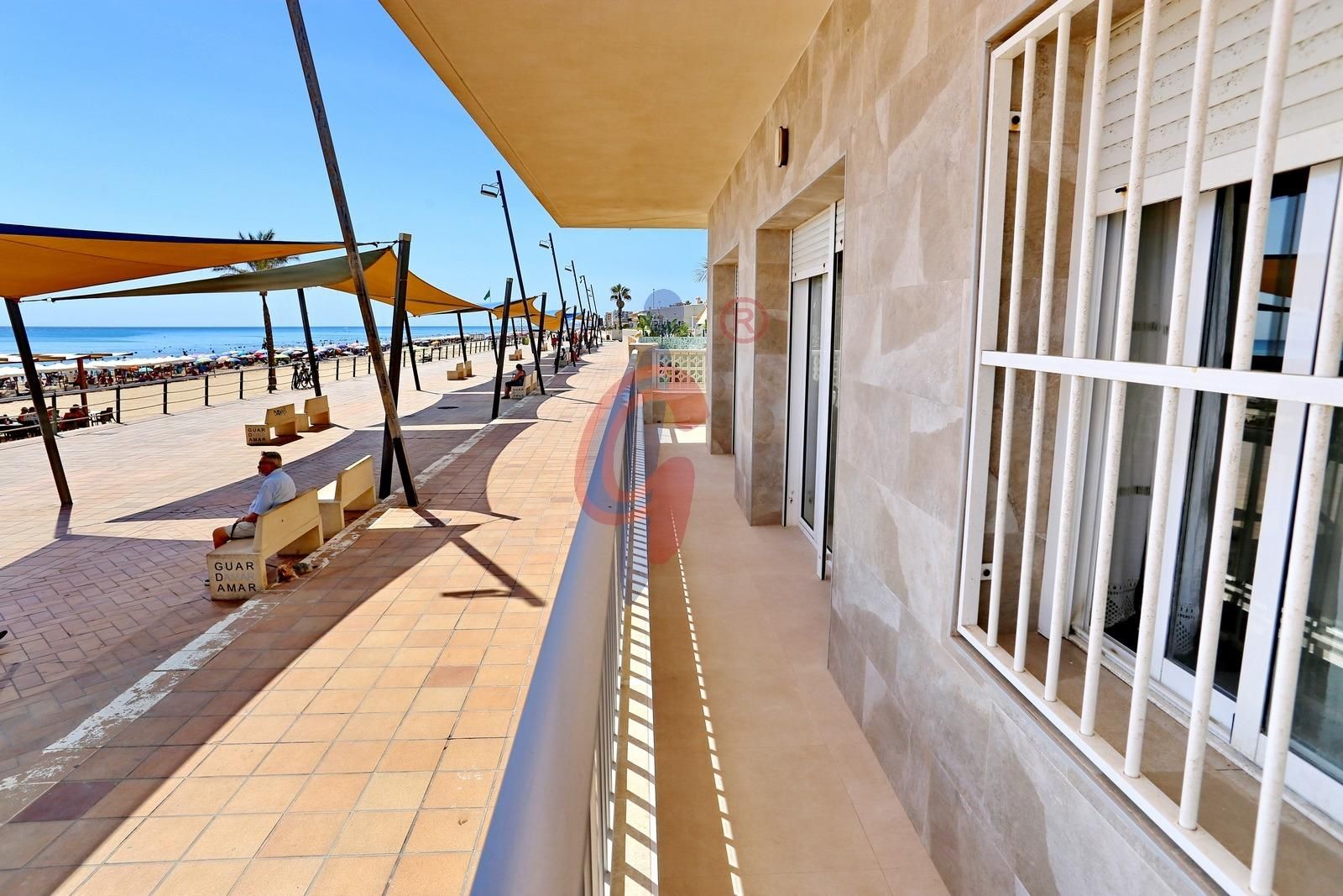 Vista exterior de Planta baja en venta en Guardamar del Segura con Terraza