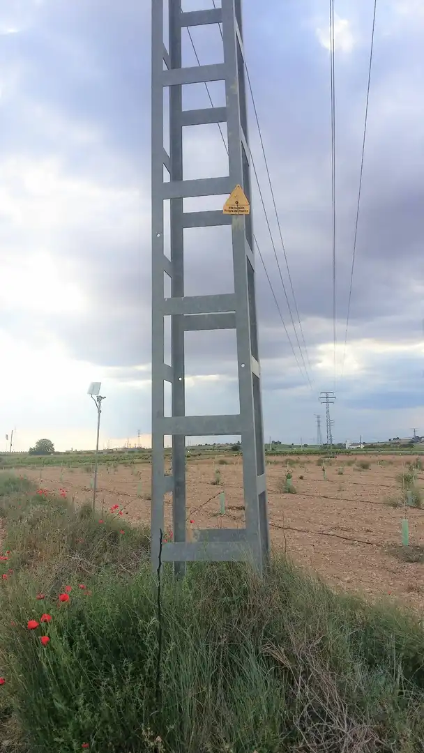 Wohnbaugrundstück zum Verkauf in Mahora, imagen 13