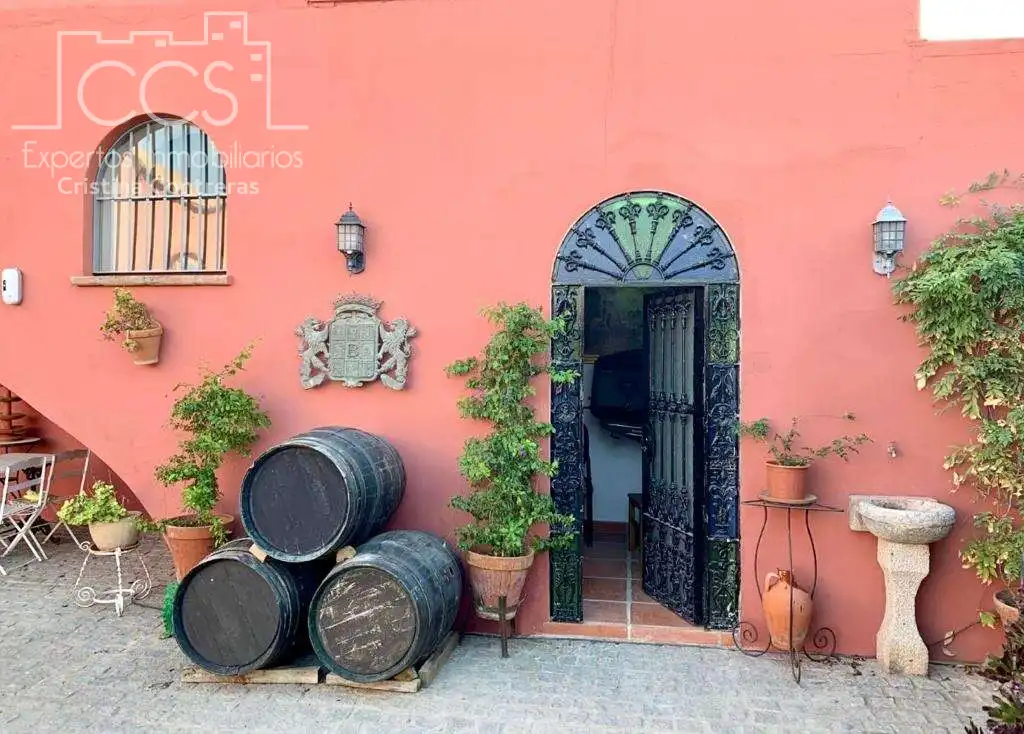 Vista exterior de Finca rústica en venta en Alcalá de Guadaira con Piscina y Amueblado