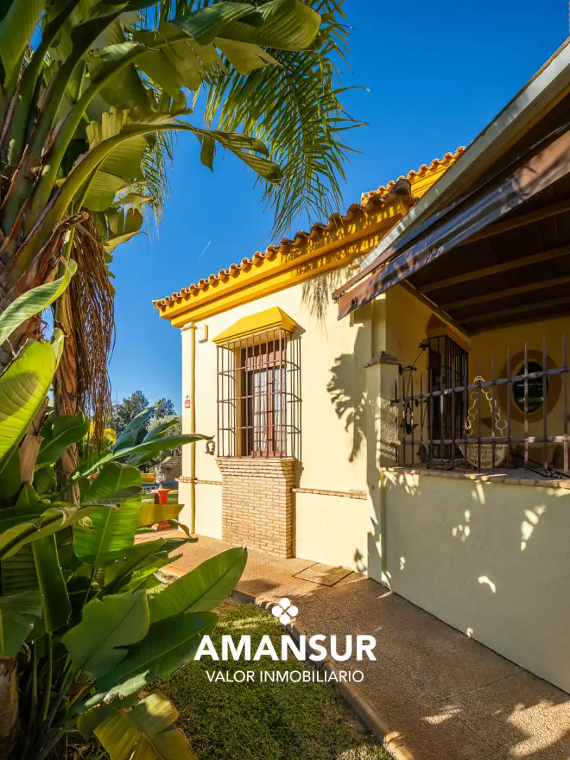 Chalet con piscina en venta en Avenida del Almendro, imagen 102