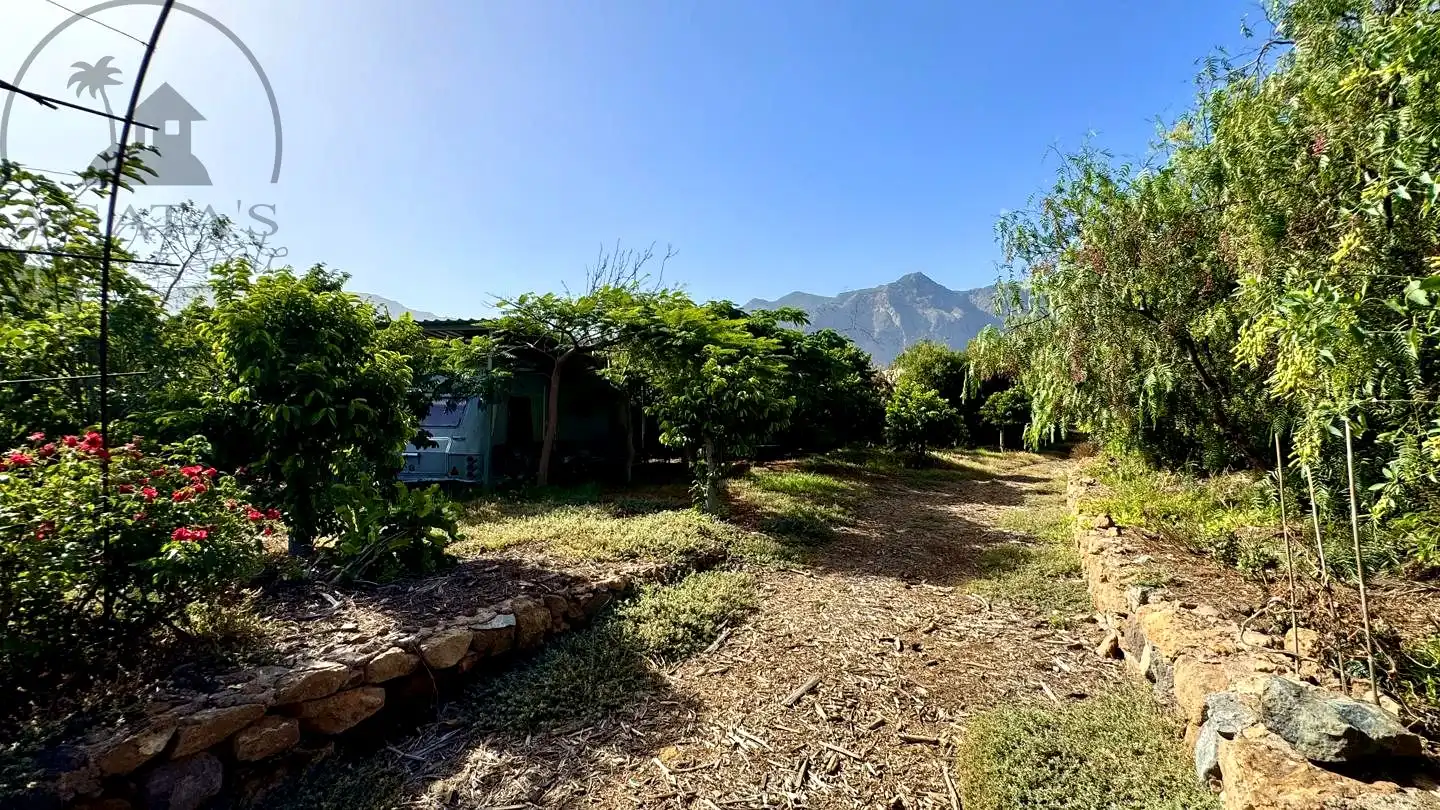 Jardí de Finca rústica en venda en Buenavista del Norte amb Jardí privat i Terrassa