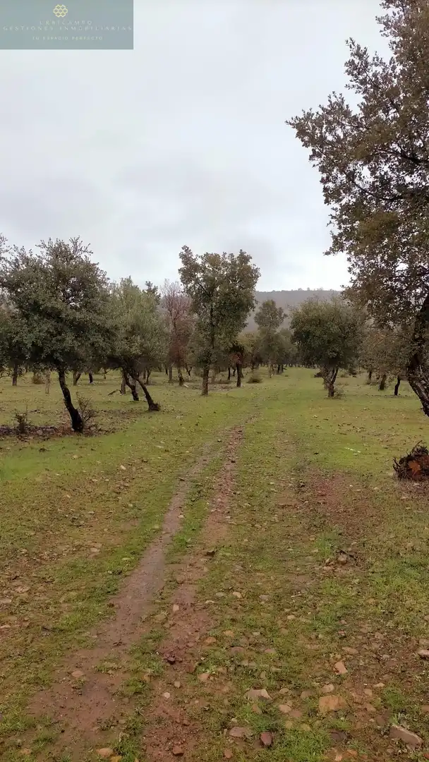 Finca rústica en venta en La Nava de Santiago  con Piscina