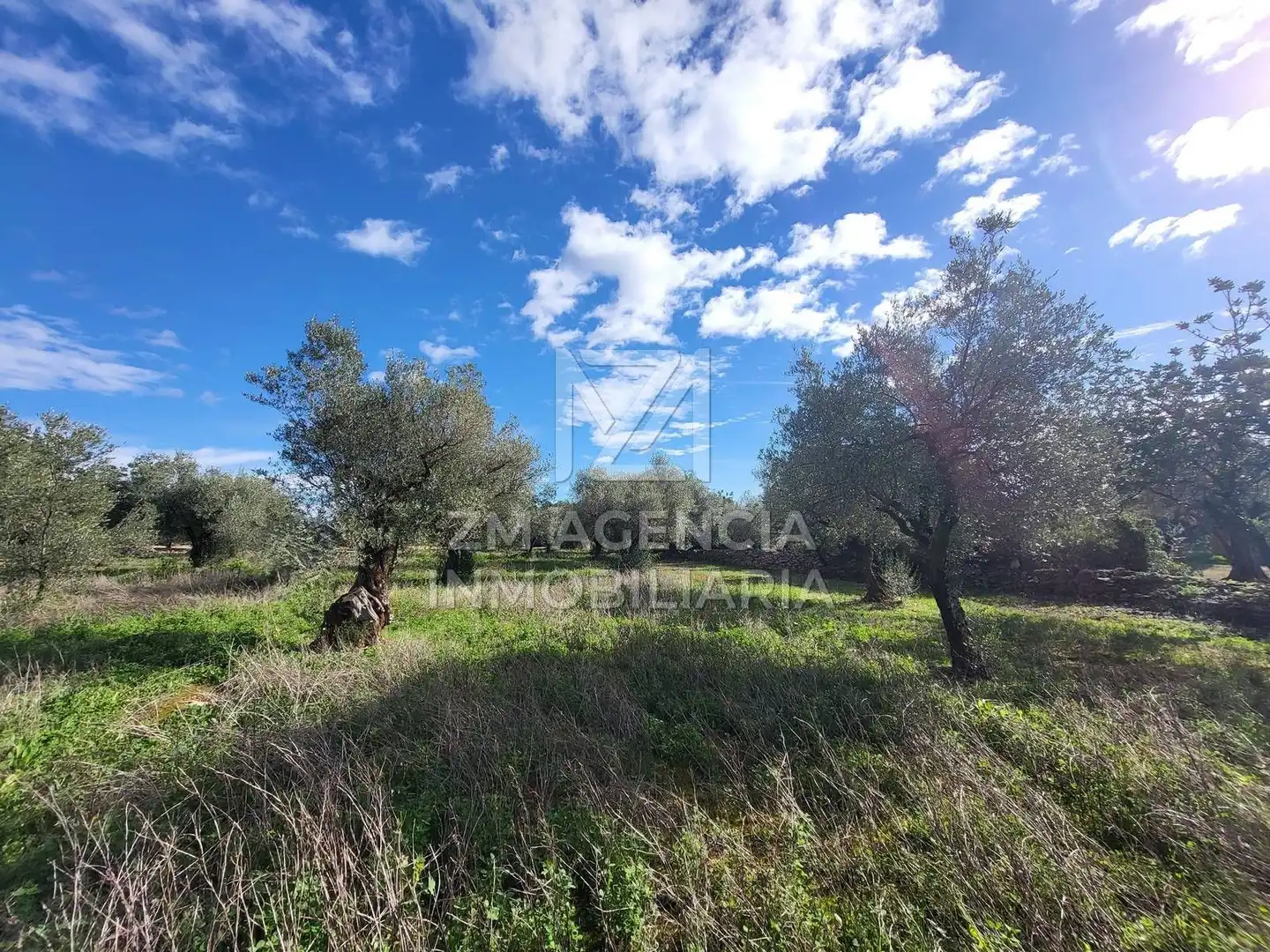 Rural land for sale in Vilarets, imagen 3