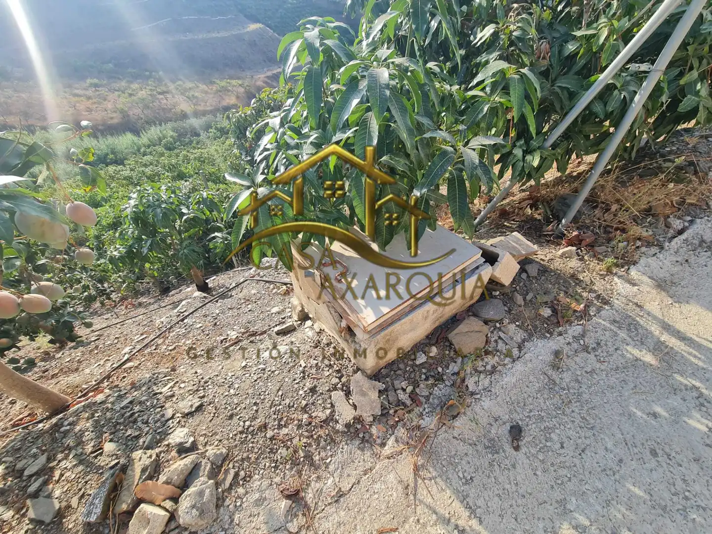 Jardí de Finca rústica en venda en Vélez-Málaga amb Jardí privat, Terrassa i Piscina