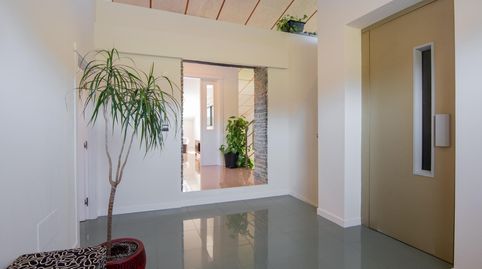 Photo 5 of Houses for sale in Lugar Lugar O Casal, Bergondo, A Coruña