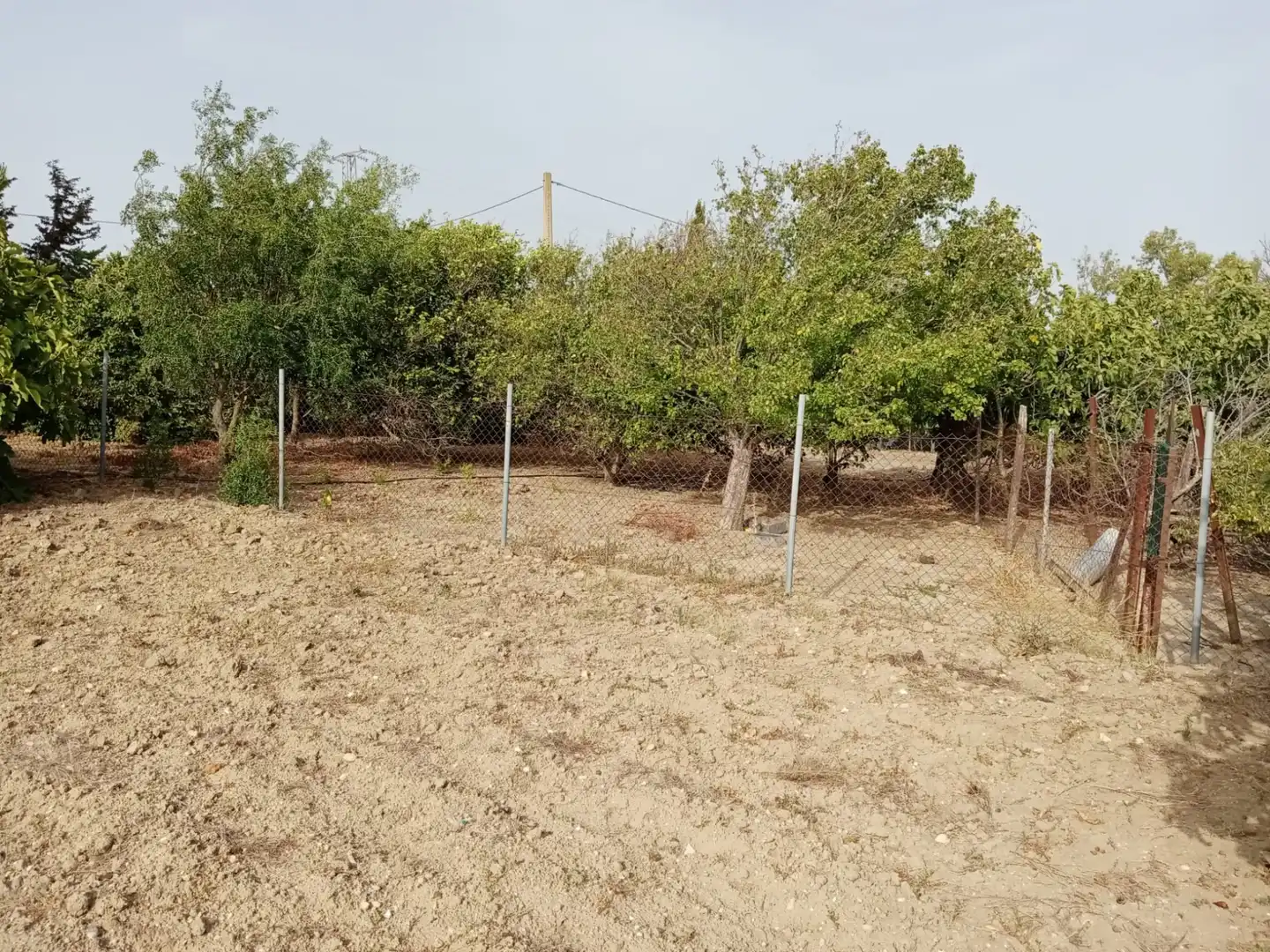Terreny rústic en venda a Medina Sidonia, imagen 14
