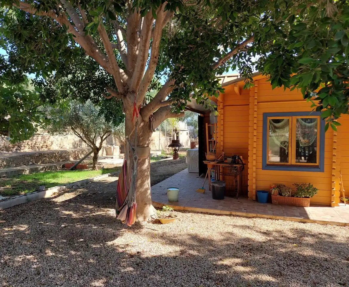 Garten von Wohnung zum Verkauf in Elche / Elx mit Privatgarten, Schwimmbad und Möbliert