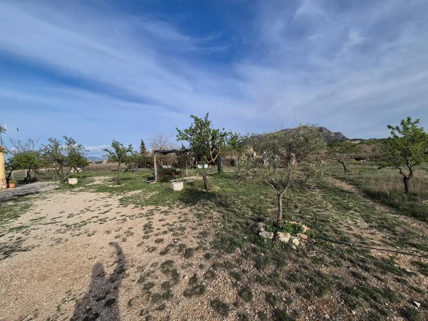 Casa o chalet en venta en Salinas