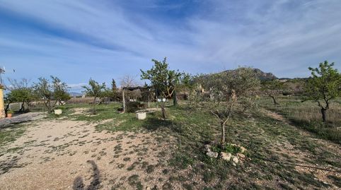VENTA DE CAMPO, imagen 3