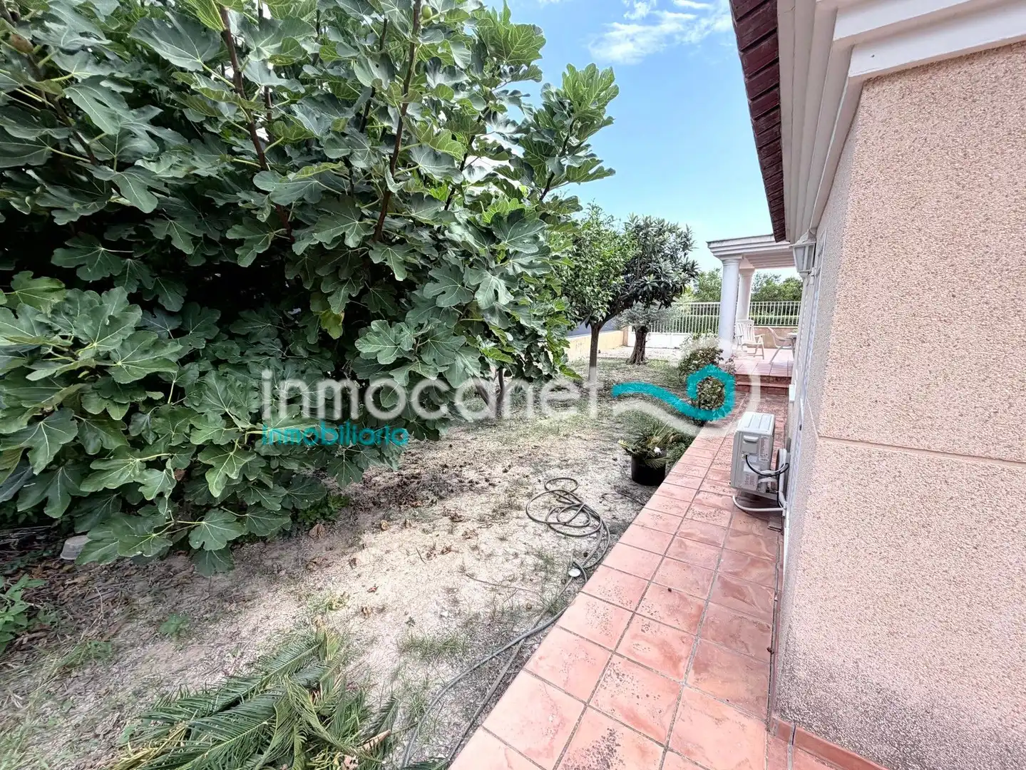 Houses for sale in Oliva, Valencia