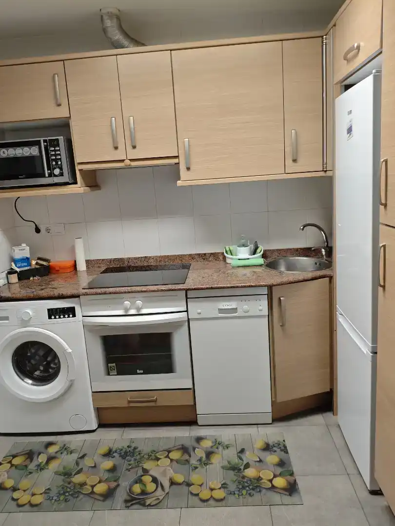 Kitchen of Flat for rent in Medio Cudeyo