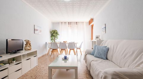 TorreviejaApartamento