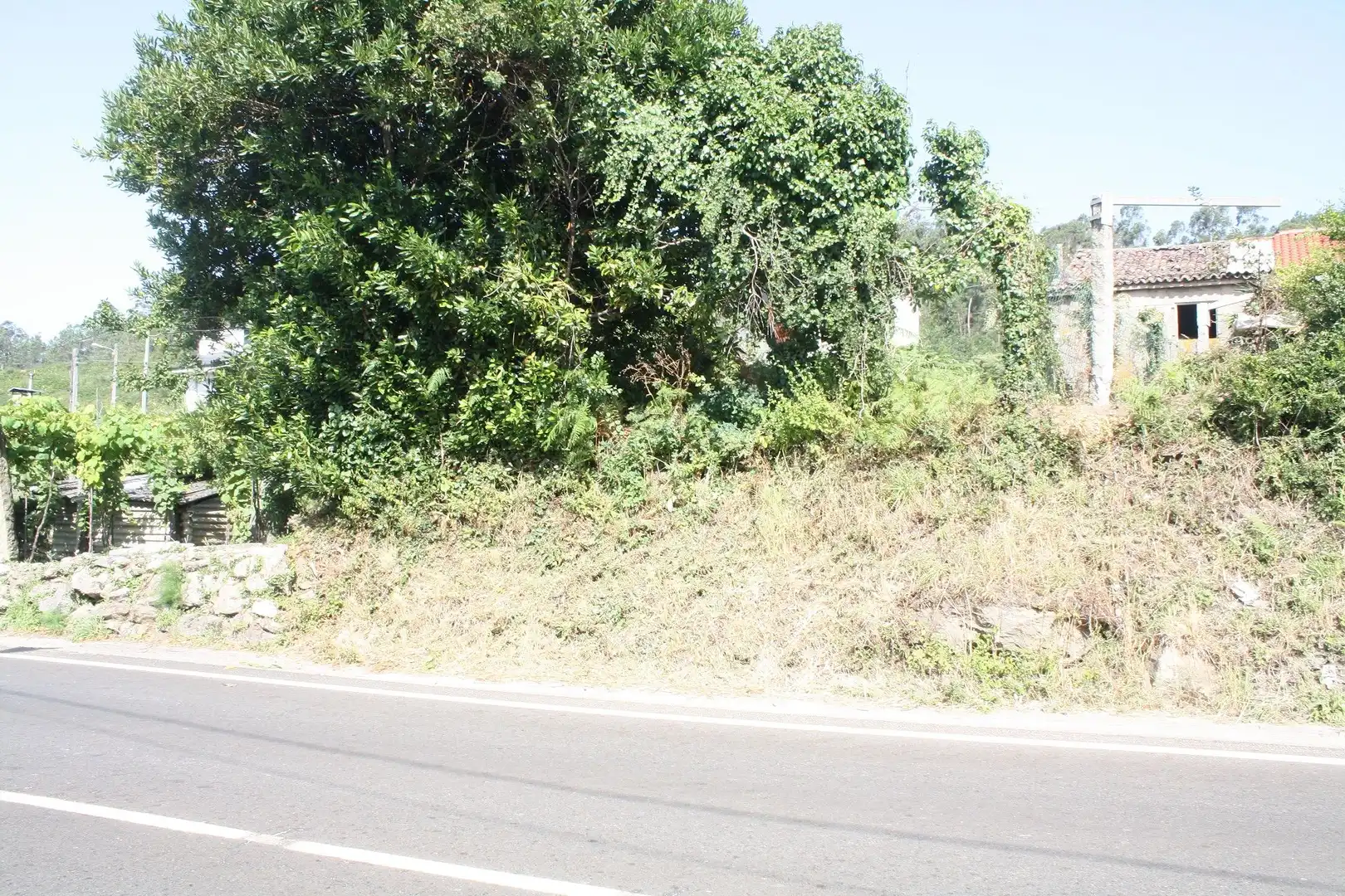 Casa o chalet en venta en Dodro