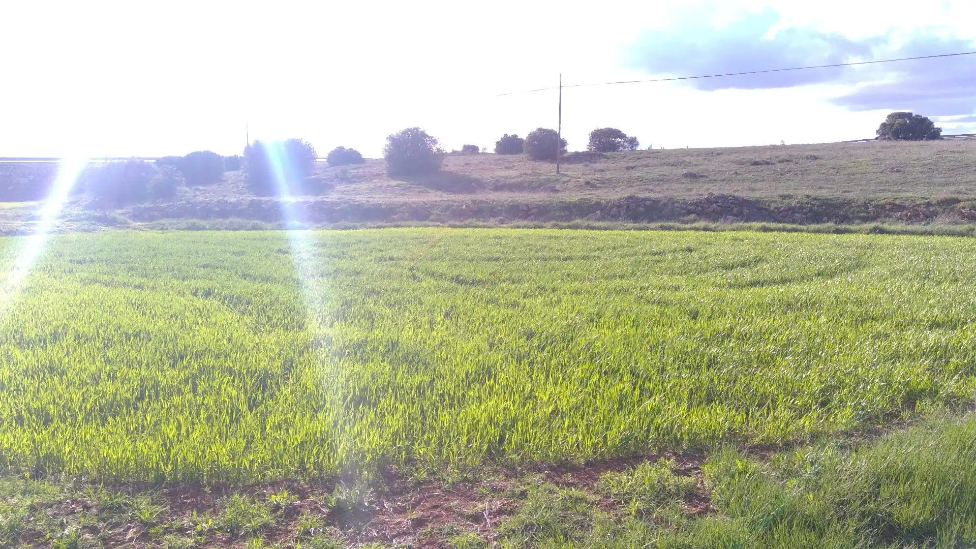 Local en venda en Robledo