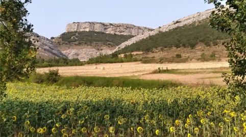 Foto 4 de Finca rústica en venda a Bu-v-6214, Rebolledo de la Torre, Burgos