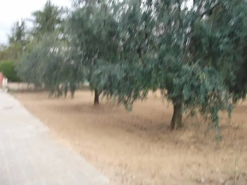 Terreno residencial en venta en Piera, imagen 2