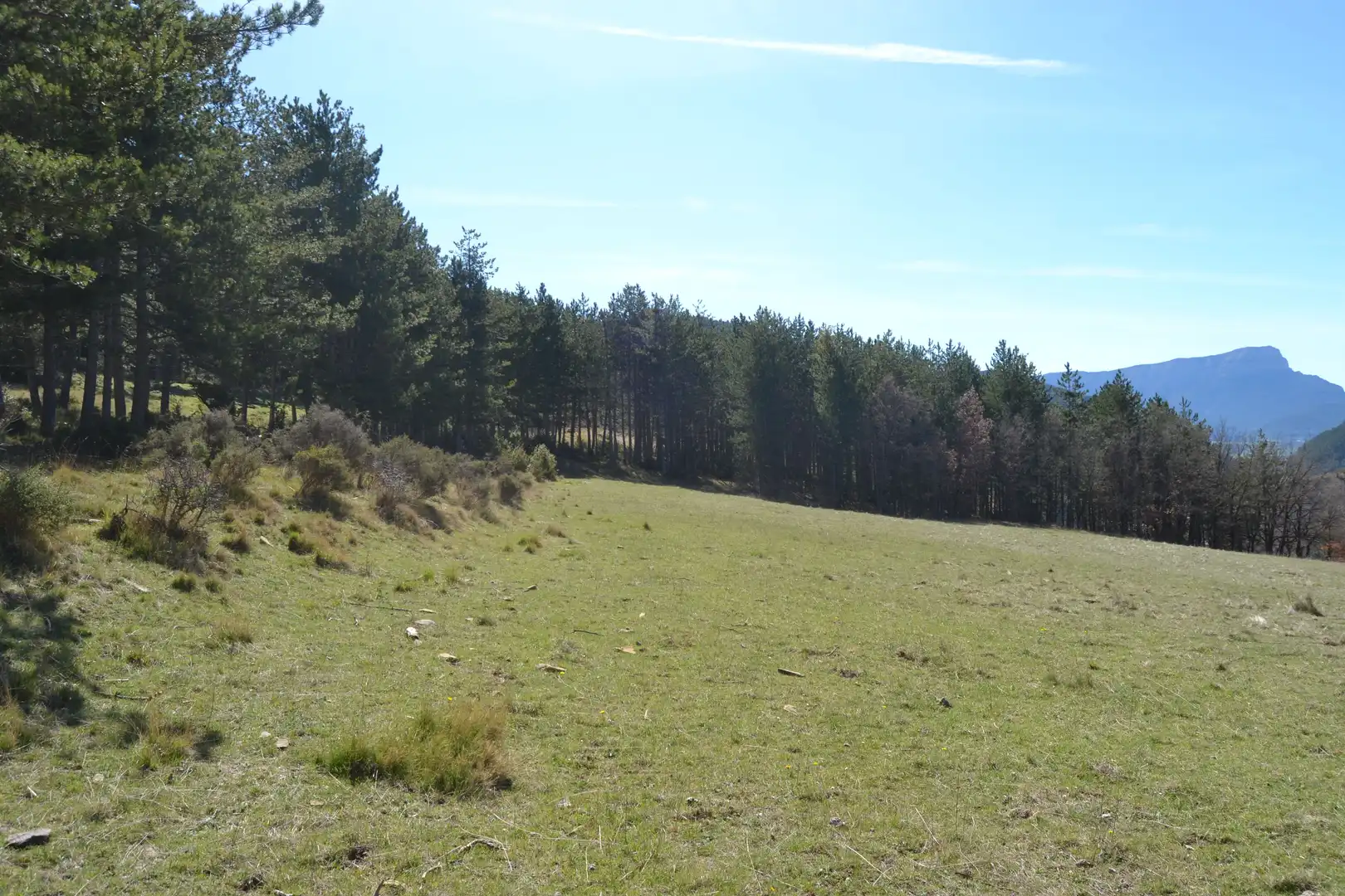 Terreni e lotti in vendita a Poblaciones norte