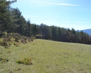 Land for sale in Jaca