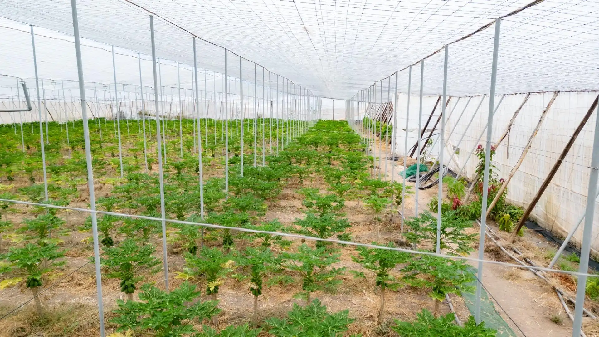 Jardín de Terreno en venta en San Cristóbal de la Laguna