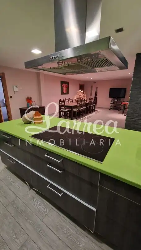 Kitchen of Detached homes for sale in Areatza  with Heating, Private garden and Storage room